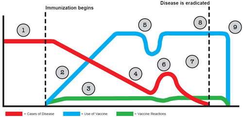 Graph showing the life-cycle of an immunization program