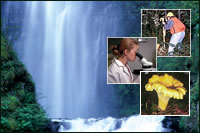 [Photograph]: Collage of scientists and waterfall.