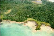 photo: Coastal wetlands around Search Bay in northern Lake Huron 