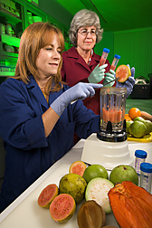 Holly Sisson and Elizabeth Baldwin use a blender to homogenize fresh guava slices. Link to photo information