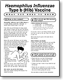 Haemophilus Influenza type b (Hib) VIS (12/16/98)