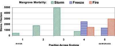 bar graph showing causes of short term mortality along the Harney River transect