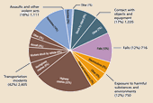 Pie Chart of Surveillance Data