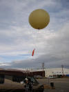Picture of upper air ballon prepared for launch
