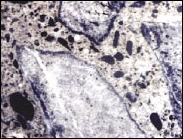 Figure 9. Photo. Polished Concrete Section Showing Dark Reaction Rims at the Periphery of the Reactive Aggregate Particles. This photo shows a microscopic view of a concrete sample. This photo shows the aggregate particles, the cracks within the aggregate particles filled with ASR products, and voids in the cement paste filled with ASR gel.