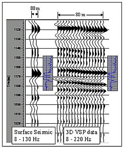 Image showing comparison of surface seismic & 3D VSP