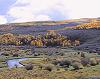 Aspen near Oak Creek, CO, Photo courtesy of Art Judson