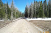 Low Snowpack, April 2002 near Columbine Pass - Photo by Phil & Caroll Nesius