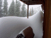 March 2003 Snowstorm near Conifer, CO.  Photo by George Schamel
