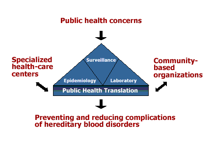 Graphic representation of information on this page.