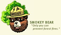 Image: Smokey Bear with a caption "Only you can prevent forest fires"