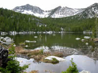 whitebark pine stand in the  Elkhorn Lake proposed Research Natural Area on the Beaverhead-Deerlodge National Forest.