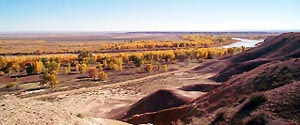 The importance of the Green River to this area is readily apparent. Lush trees grow along the river showing off their fall colors, but the rest of the view is dry, arid land.