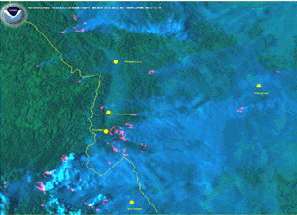 Wildfire Plumes