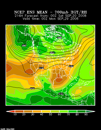 NCEP Ensemble forecast product