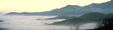Great Smoky Mountains National Park is named for the misty 'smoke' that often hangs over the park.