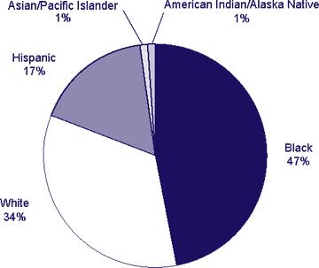Race/ethnicity of persons living with HIV, 2003
		
Asian/Pacific Islanders 1%
American Idian/Alaska Native 1%
Black 47%
Whilt 34%
Hispanic 17%
No. 35,314