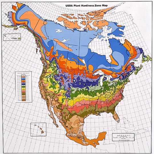 USDA Plant Hardiness Zone Map