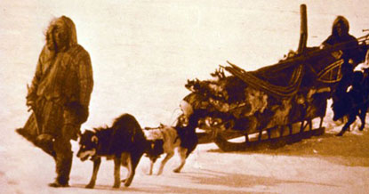 Historic photo of Eskimos with dog sleds traveling across the snow covered tundra.