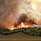 wildfire burning in an aspen grove