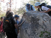 group of botanists looking at lichens on a boulder.
