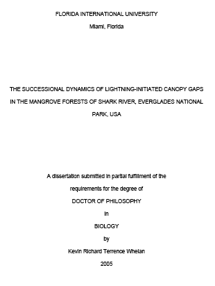 image of first page of dissertation