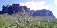 Sonoran desert scene with the Superstitions Mountains in the background.