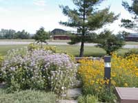 native wildflower garden at the Munising Ranger District office of the Hiawatha National Forest.