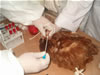 USAID helped train Kazakhstan's veterinarian specialists in diagnostics of infection among domestic fowl