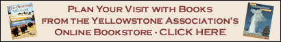 Yellowstone Association Ad Banner
