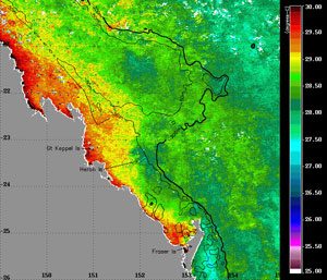 This is an image of sea surface temperatures at the southern Great Barrier Reef showing increased temperatures over inshore reefs, the location of the most severe coral bleaching at present.