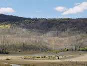 the area burned by the Johnson wildfire.