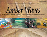 Amber Waves cover, November 2007
