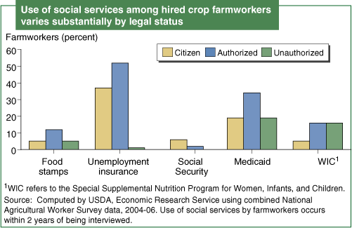 Chart: Use of social services among hired crop farmworkers varies substantially by legal status