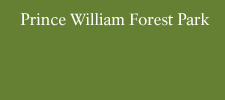 Prince William Forest Park