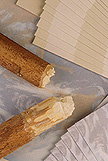 Los tallos del kenaf, y papel hecho de la fibra de kenaf
