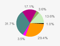 Pie chart: in table form below