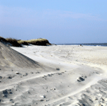 Sandy Hook's beaches