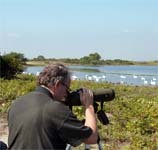 Visitors to Jamaica Bay Wildlife Refuge can see an array of wildlife, especially waterfowl and migratory birds.