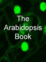 The Arabidopsis Book