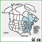 Distribution of Houstonia caerulea L.. . Image Available. 