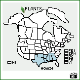 Distribution of Houstonia micrantha (Shinners) Terrell. . Image Available. 