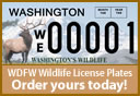 Fish and Wildlife License Plate Drawing