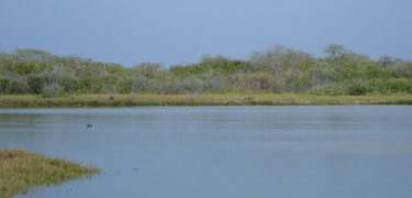 aimakapa fishpond