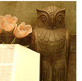 Photo: One of a pair of carved owls  watches over  an Oxford English Dictionary in the back of the Reading Room.