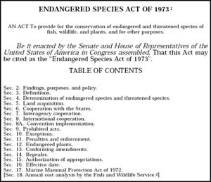 First page of the Endangered Species Act of 1973.