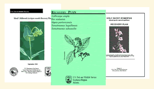 the covers of three U.S. Fish and Wildlife Service recovery plans.