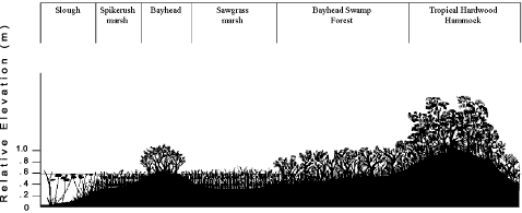 diagram of Area 1 showing relative elevation