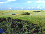 photo of landscape in Area 3