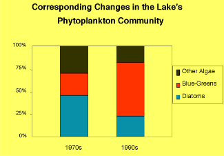 graph of corresponding changes in the 
lake's phytoplankon community